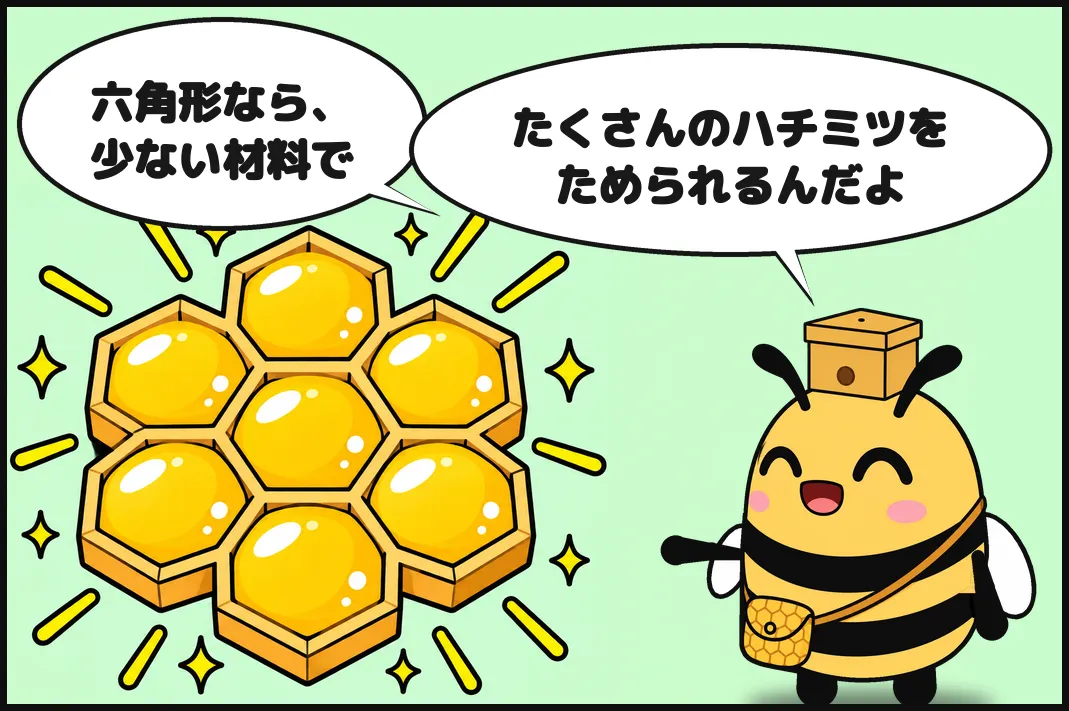 六角形なら、少ない材料でたくさんのハチミツをためられるんだよ