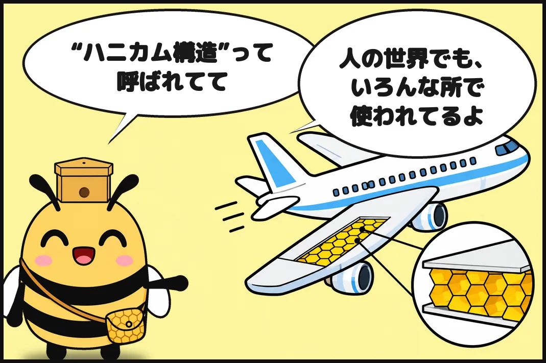 “ハニカム構造”って呼ばれてて、人の世界でも、いろんな所で使われてるよ