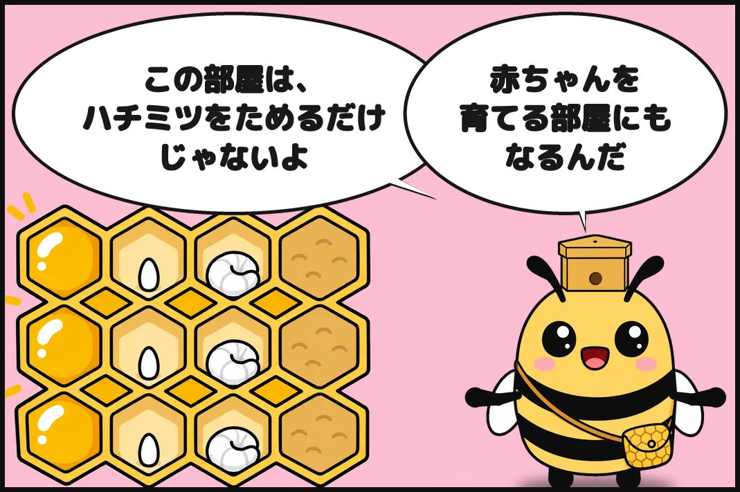 この部屋は、ハチミツをためるだけじゃないよ。赤ちゃんを育てる部屋にもなるんだ