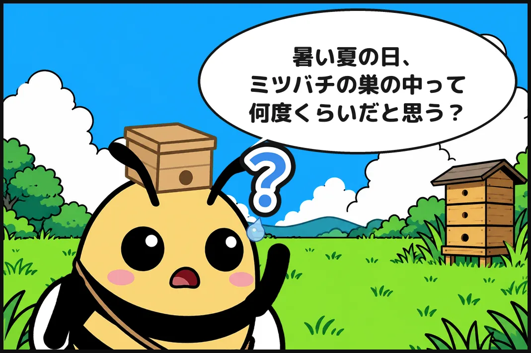暑い夏の日、ミツバチの巣の中って何度くらいだと思う？