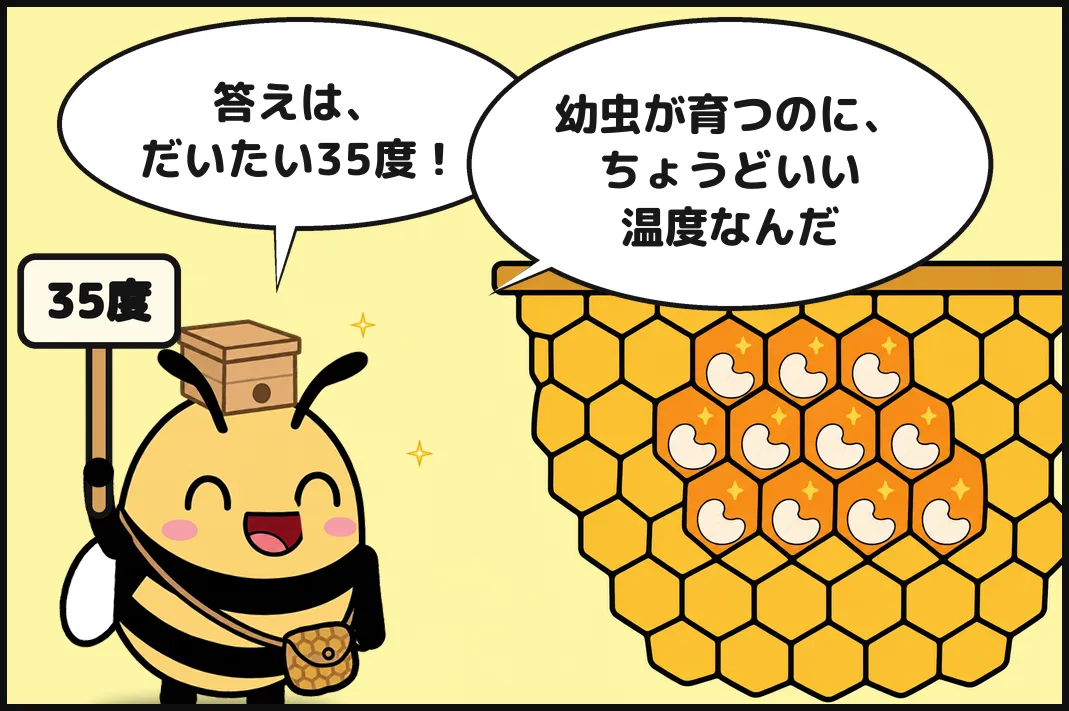 答えは、だいたい35度！幼虫が育つのに、ちょうどいい温度なんだ