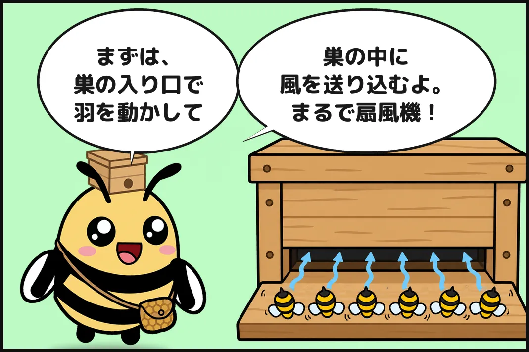 まずは、巣の入り口で羽を動かして、巣の中に風を送り込むよ。まるで扇風機！