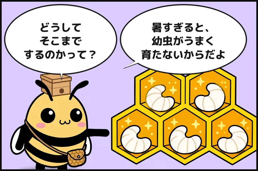 どうしてそこまでするのかって？暑すぎると、幼虫がうまく育たないからだよ