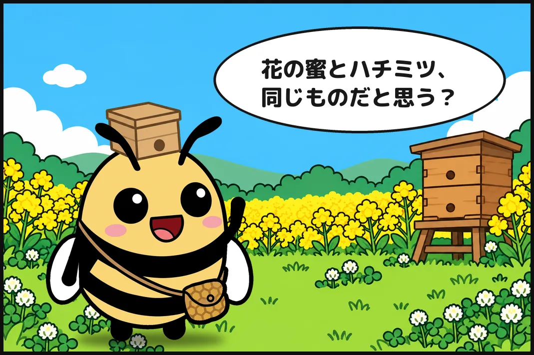 花の蜜とハチミツ、同じものだと思う?