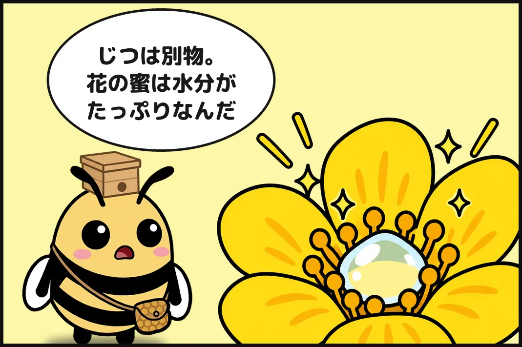 じつは別物。花の蜜は水分がたっぷりなんだ