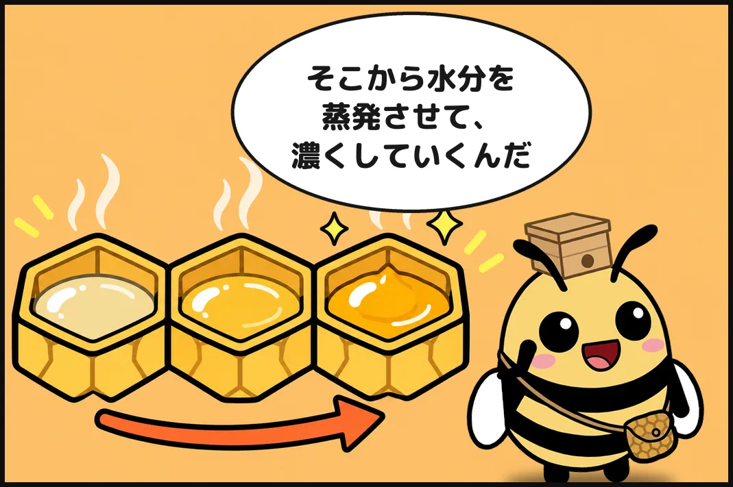 そこから水分を蒸発させて、濃くしていくんだ