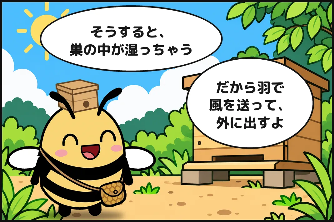 そうすると、巣の中が湿っちゃう。だから羽で風を送って、外に出すよ