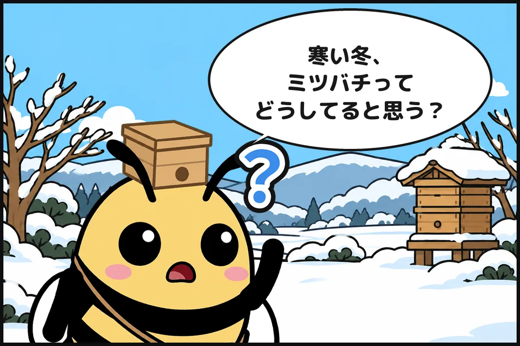 寒い冬、ミツバチってどうしてると思う？
