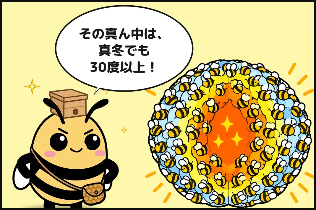 その真ん中は、真冬でも30度以上！