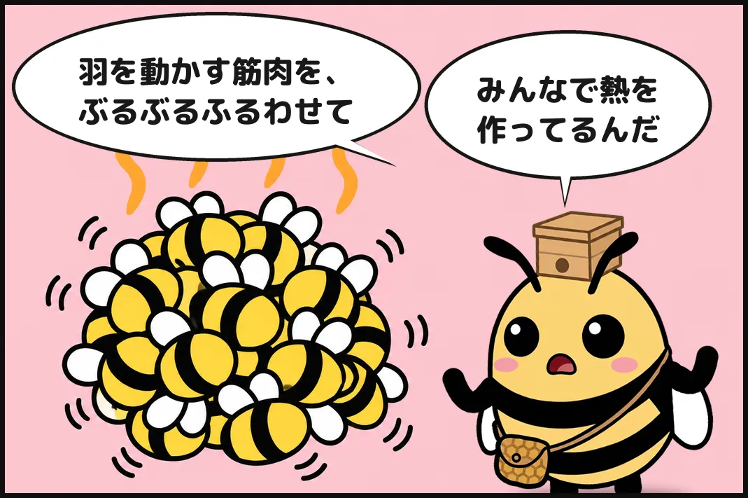 羽を動かす筋肉を、ぶるぶるふるわせて、みんなで熱を作ってるんだ