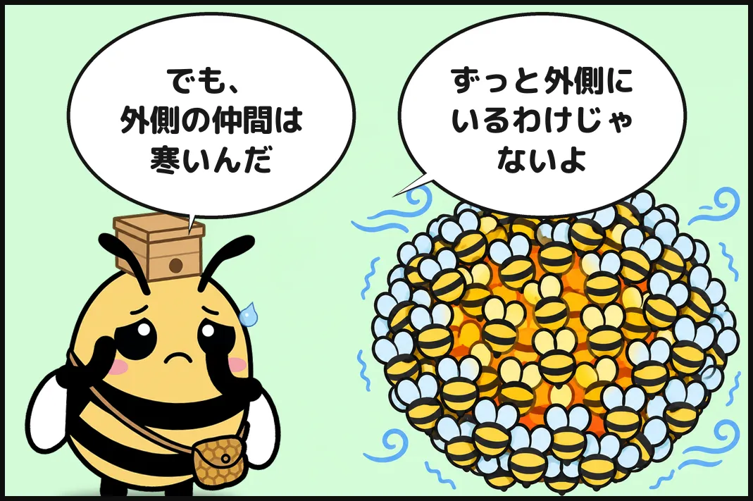 でも、外側の仲間は寒いんだ。ずっと外側にいるわけじゃないよ