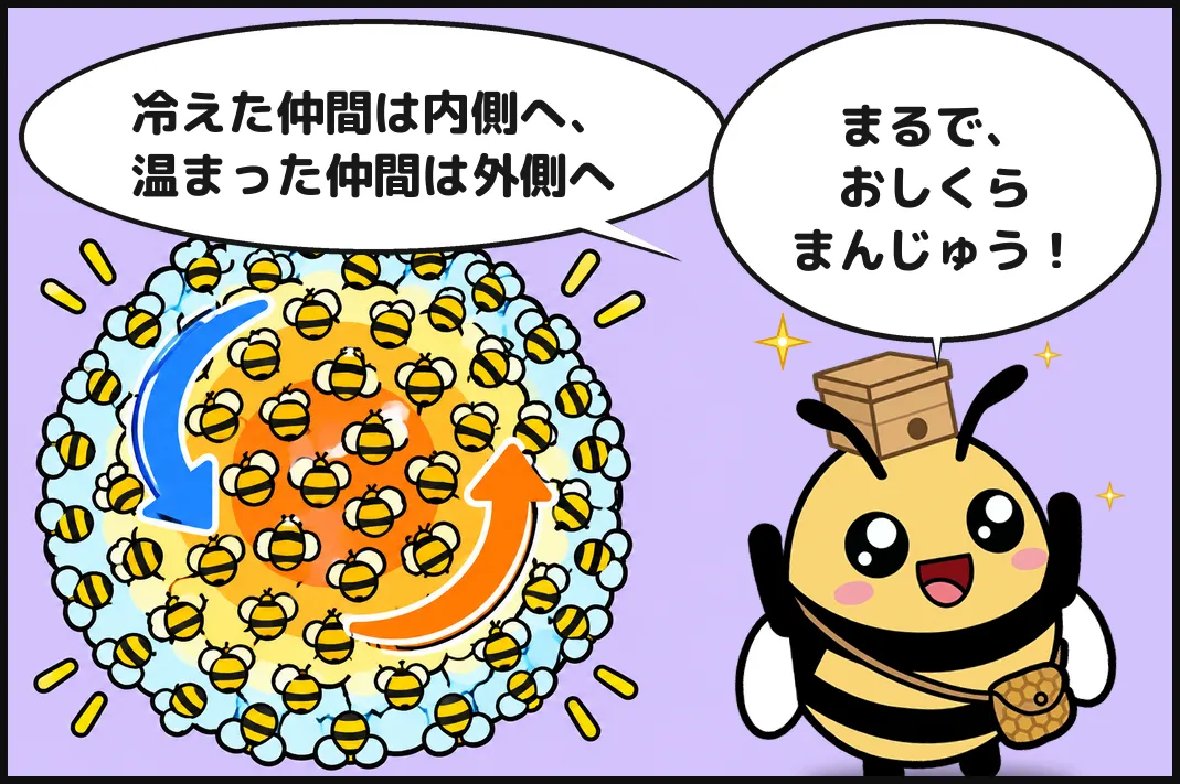 冷えた仲間は内側へ、温まった仲間は外側へ。まるで、おしくらまんじゅう！