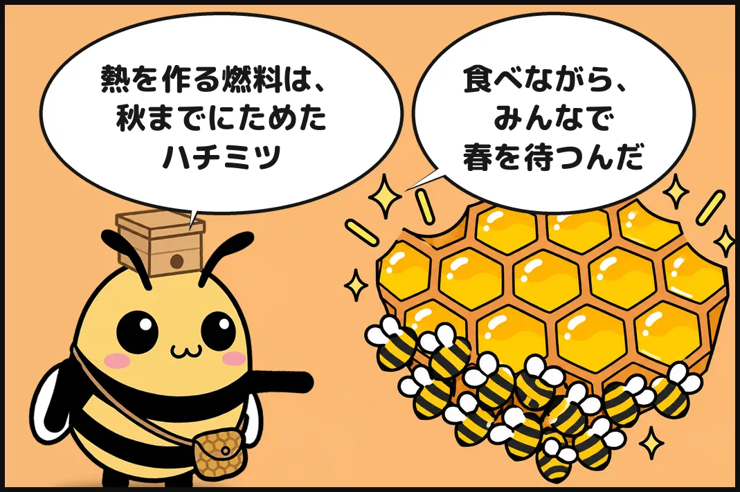 熱を作る燃料は、秋までにためたハチミツ。食べながら、みんなで春を待つんだ